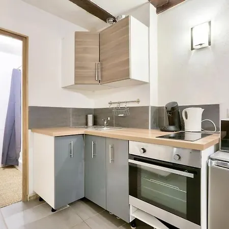 Daire Charming Studio Historical Center Of Strazburg